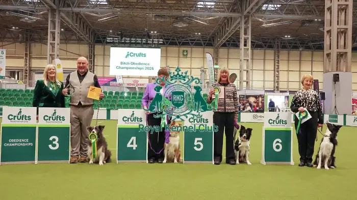 Framed Print : Obedience Championship Bitches - Crufts Sunday 8th March 2026 Framed Print : Obedience Championship Bitches - Crufts Sunday 8th March 2026