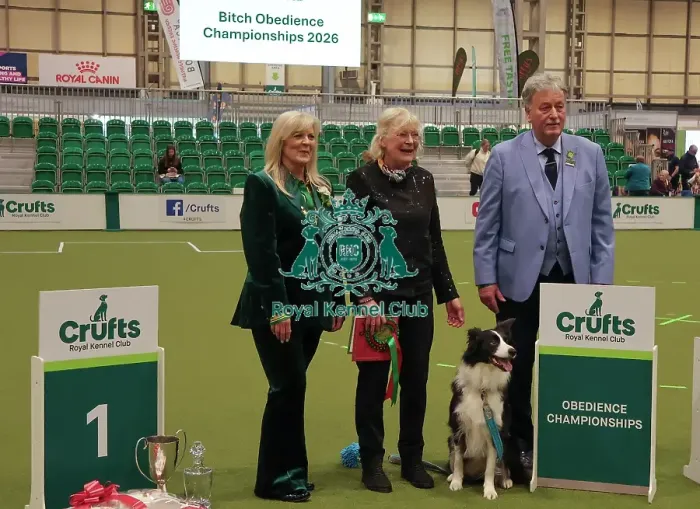 Framed Print : Obedience Championship Bitches Winner - Crufts 2026 Obedience Championship Bitches Winner - Crufts 2026 Framed Print : Obedience Championship Bitches Winner - Crufts 2026 Obedience Championship Bitches Winner - Crufts 2026