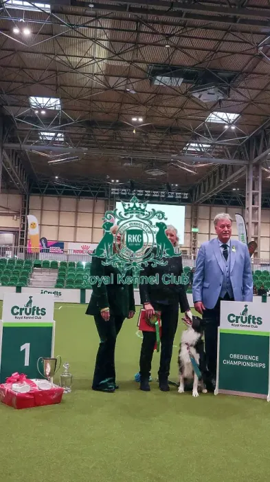 Framed Print : Obedience Championship Bitches Winner - Crufts 2026 Obedience Championship Bitches Winner - Crufts 2026 Framed Print : Obedience Championship Bitches Winner - Crufts 2026 Obedience Championship Bitches Winner - Crufts 2026