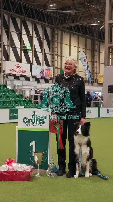 Framed Print : Obedience Championship Bitches Winner - Crufts 2026 Obedience Championship Bitches Winner - Crufts 2026 Framed Print : Obedience Championship Bitches Winner - Crufts 2026 Obedience Championship Bitches Winner - Crufts 2026