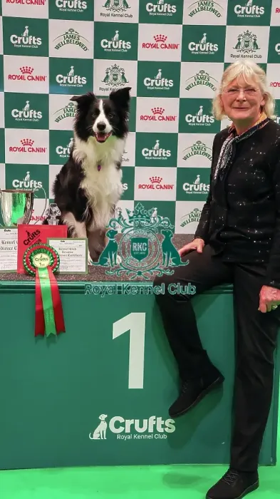 Framed Print : Obedience Championship Bitches Winner - Crufts 2026 Obedience Championship Bitches Winner - Crufts 2026 Framed Print : Obedience Championship Bitches Winner - Crufts 2026 Obedience Championship Bitches Winner - Crufts 2026