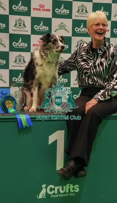 Framed Print : Obedience Championship Bitches Winner Podium - Crufts 2026 Obedience Championship Bitches Winner Podium - Crufts 2026 Framed Print : Obedience Championship Bitches Winner Podium - Crufts 2026 Obedience Championship Bitches Winner Podium - Crufts 2026