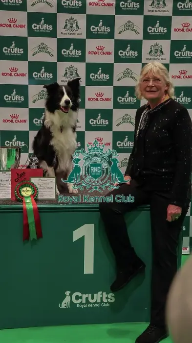 Framed Print : Obedience Championship Bitches Winner Podium - Crufts 2026 Obedience Championship Bitches Winner Podium - Crufts 2026 Framed Print : Obedience Championship Bitches Winner Podium - Crufts 2026 Obedience Championship Bitches Winner Podium - Crufts 2026