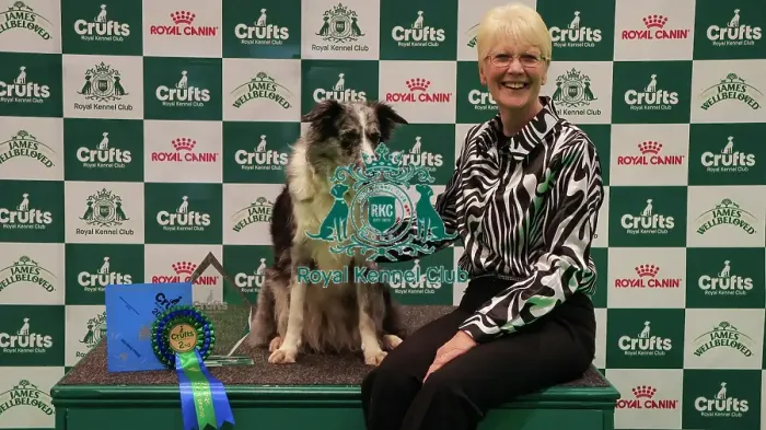 Framed Print : Obedience Championship Bitches Winner Podium - Crufts 2026 Obedience Championship Bitches Winner Podium - Crufts 2026 Framed Print : Obedience Championship Bitches Winner Podium - Crufts 2026 Obedience Championship Bitches Winner Podium - Crufts 2026