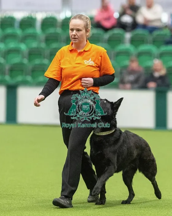 Framed Print : Obedience Class A (2) - Elspeth Brown & Devi (Northern), Crufts 2026 Obedience Class A (2) - Elspeth Brown & Devi (Northern), Crufts 2026 Framed Print : Obedience Class A (2) - Elspeth Brown & Devi (Northern), Crufts 2026 Obedience Class A (2) - Elspeth Brown & Devi (Northern), Crufts 2026