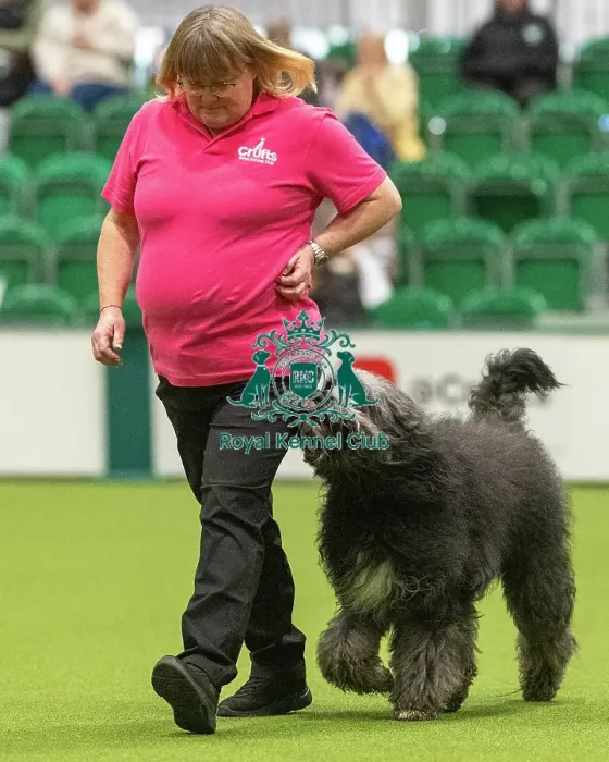 Framed Print : Obedience Class A - Kathy Woodgreaves & Arfa (South-East & East Anglia), Crufts 2026 Obedience Class A - Kathy Woodgreaves & Arfa (South-East & East Anglia) Framed Print : Obedience Class A - Kathy Woodgreaves & Arfa (South-East & East Anglia), Crufts 2026 Obedience Class A - Kathy Woodgreaves & Arfa (South-East & East Anglia)