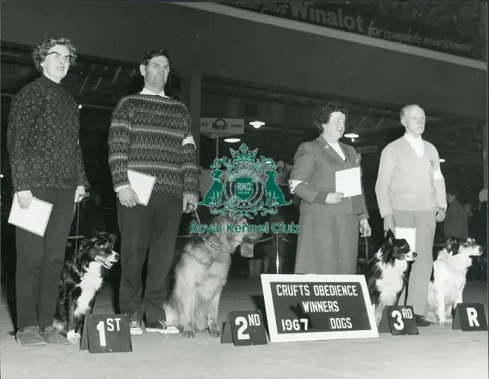 Framed Print : Obedience Winner at Crufts 1967 Framed Print : Obedience Winner at Crufts 1967