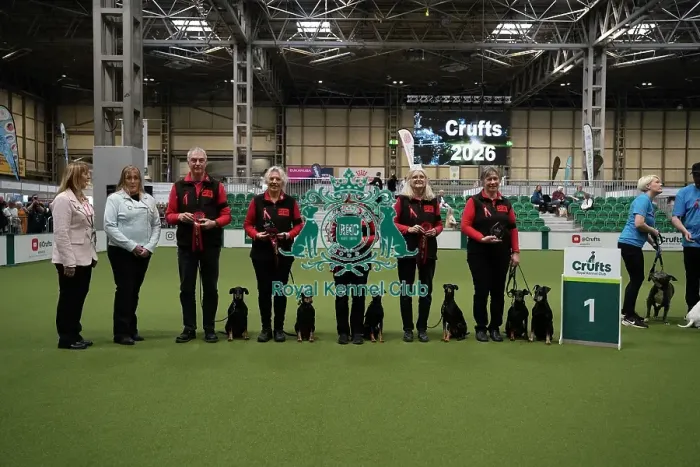 Framed Print : Obreedience winner MRU Manchester Terriers