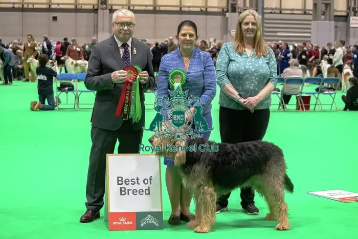 Framed Print : Otterhound - Best of Breed, Crufts 2026 Framed Print : Otterhound - Best of Breed, Crufts 2026