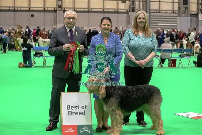 Framed Print : Otterhound - Best of Breed, Crufts 2026 Otterhound - Best of Breed, Crufts 2026 Framed Print : Otterhound - Best of Breed, Crufts 2026 Otterhound - Best of Breed, Crufts 2026