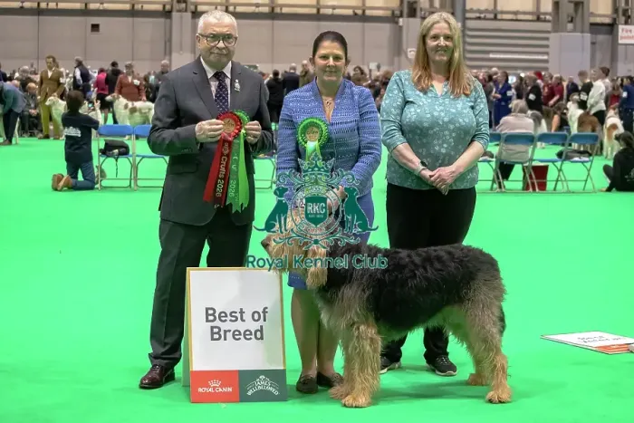 Framed Print : Otterhound - Best of Breed, Crufts 2026 Otterhound - Best of Breed, Crufts 2026 Framed Print : Otterhound - Best of Breed, Crufts 2026 Otterhound - Best of Breed, Crufts 2026