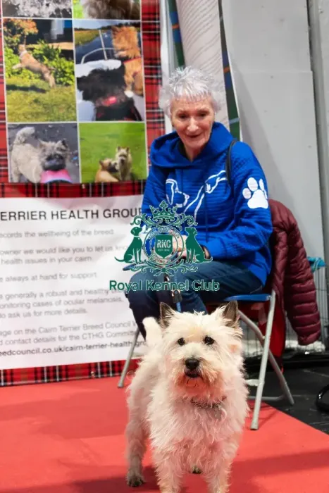 Framed Print : Owner with Her Cairn Terrier Discover Dogs