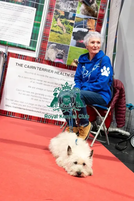 Framed Print : Owner With Her Cairn Terrier Discover Dogs