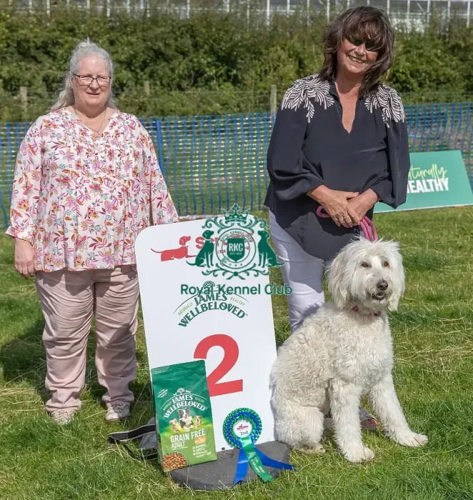 Framed Print : Owner Name Judith Harding Second Place Scruffts Family Crossbreed Of The Year Competition