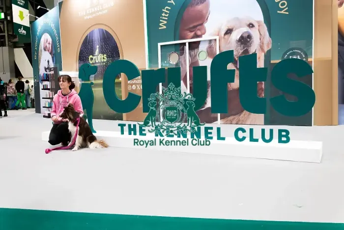 Framed Print : Owners Posing With Their Border Collie In Front Of The Crufts Banner Framed Print : Owners Posing With Their Border Collie In Front Of The Crufts Banner