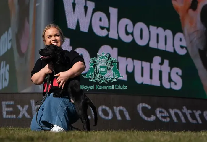 Framed Print : Paralympian Ellie Simmonds with Cocker Spaniel puppy Kipling at the launch of Crufts 2025 Framed Print : Paralympian Ellie Simmonds with Cocker Spaniel puppy Kipling at the launch of Crufts 2025
