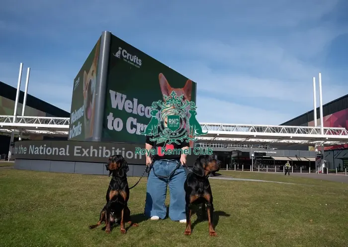 Framed Print : Paralympian Ellie Simmonds OBE with Polish Hunting Dogs Bojar and Pippa at the launch of Crufts 2025 Framed Print : Paralympian Ellie Simmonds OBE with Polish Hunting Dogs Bojar and Pippa at the launch of Crufts 2025