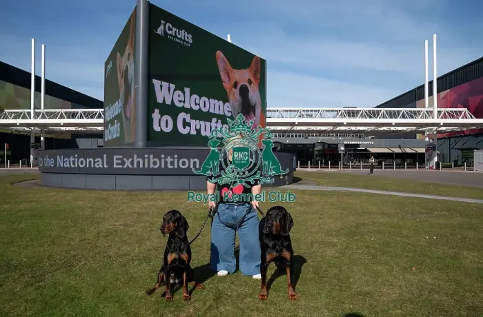 Framed Print : Paralympian Ellie Simmonds OBE with Polish Hunting Dogs Bojar and Pippa at the launch of Crufts 2025 Framed Print : Paralympian Ellie Simmonds OBE with Polish Hunting Dogs Bojar and Pippa at the launch of Crufts 2025