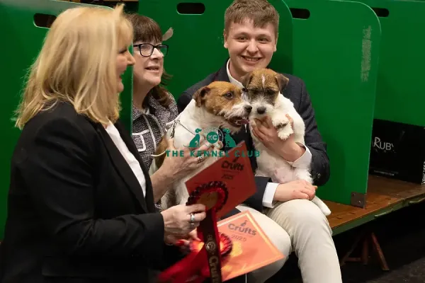 Parson Russell Art Prints, Posters Puzzles from The