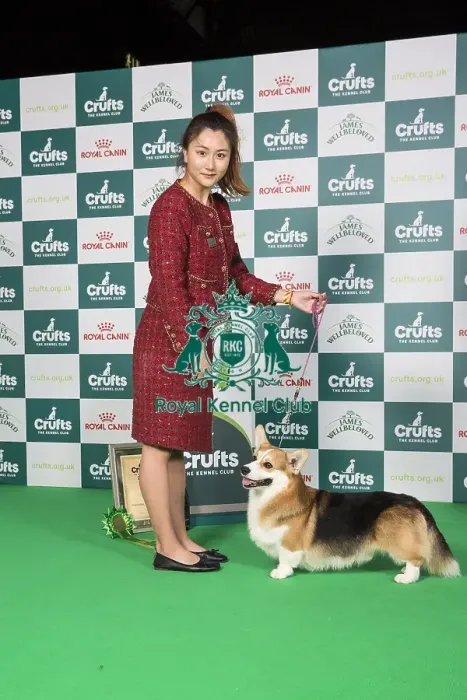 Framed Print : Pastoral Group 4th Place Winner Welsh Corgi (Pembroke) 13967 - Multi Ch Aurorus Lunaris Ex Valhalos Sargas (Mrs J Xu) Framed Print : Pastoral Group 4th Place Winner Welsh Corgi (Pembroke) 13967 - Multi Ch Aurorus Lunaris Ex Valhalos Sargas (Mrs J Xu)
