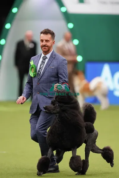 Philip Langdon from Bristol, with Art Prints, Posters