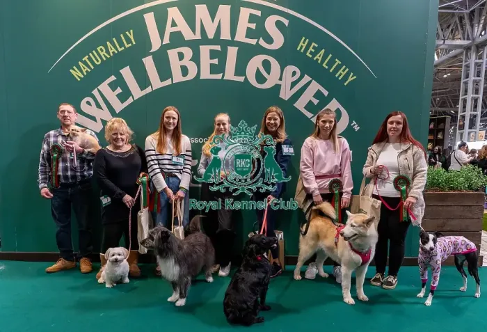 Framed Print : Photocall with Scruffts semi finalists on the James Wellbeloved stand Prettiest Crossbreed Bitch Mr Maddock Framed Print : Photocall with Scruffts semi finalists on the James Wellbeloved stand Prettiest Crossbreed Bitch Mr Maddock