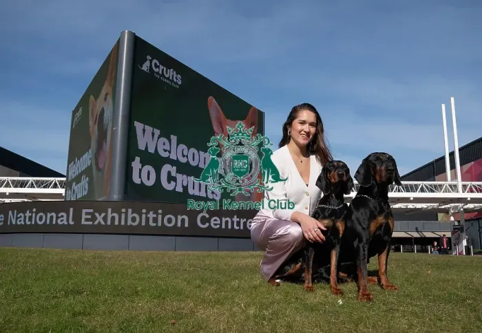 Framed Print : Polish Hunting Dogs Bojar and Pippa and owner Gabi Johnston at the launch of Crufts 2025 Framed Print : Polish Hunting Dogs Bojar and Pippa and owner Gabi Johnston at the launch of Crufts 2025