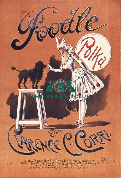 Poodle Polka. Vintage dog sheet music entitled, Poodle Polka by Clarence C