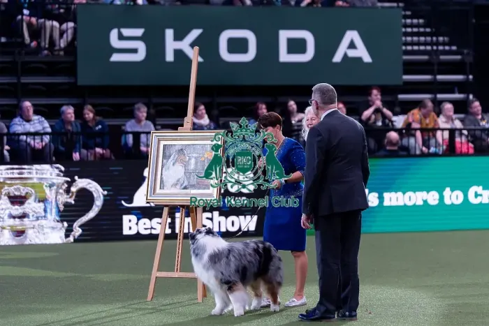 Framed Print : Presentation of the BIS 2024 painting from the last years Crufts winner
