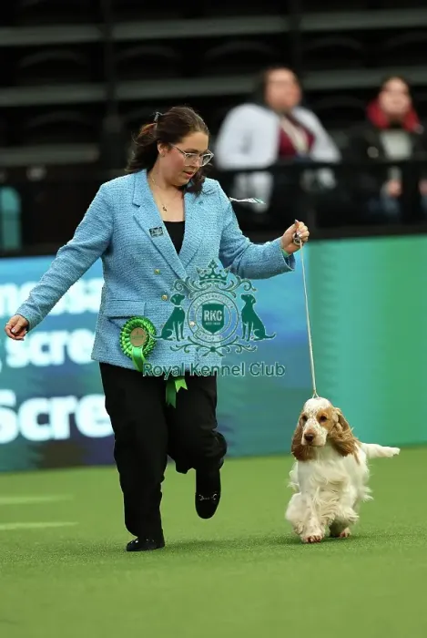 Framed Print : Rebecca Govik and Theres Johansson from Sweden with Barra, a Cocker Spaniel, which was the Best of Breed winner today (Thursday 09. 03. 23), the first day of Crufts 2023, at the NEC Birmingham Framed Print : Rebecca Govik and Theres Johansson from Sweden with Barra, a Cocker Spaniel, which was the Best of Breed winner today (Thursday 09. 03. 23), the first day of Crufts 2023, at the NEC Birmingham