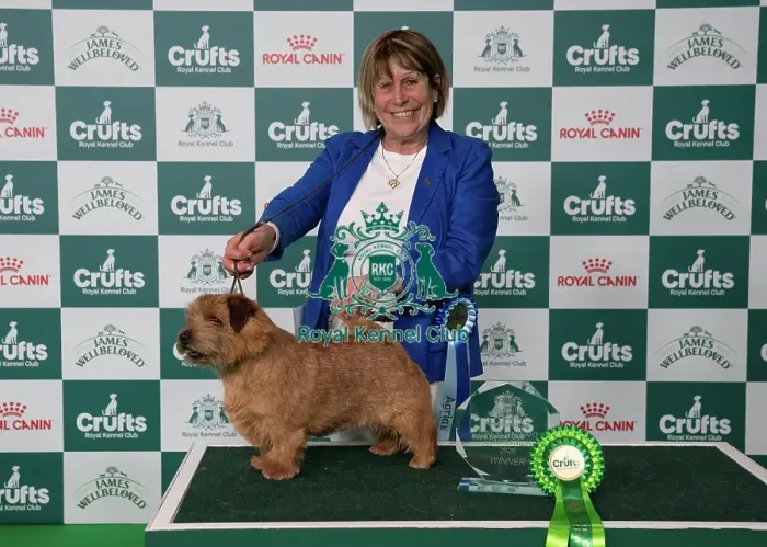 Framed Print : Ruth Gee and Easy Tiger winner of the Junior Warrant Competition today (05) Framed Print : Ruth Gee and Easy Tiger winner of the Junior Warrant Competition today (05)