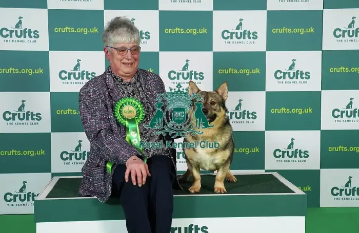 Framed Print : Sandra Drinkwater from Preston with Norton, a Swedish Lapphund, which was the Best of Breed winner today (Friday 10. 03. 23), the second day of Crufts 2023, at the NEC Birmingham. Sandra Drinkwater from Preston with Norton, a Swedish Lapphund