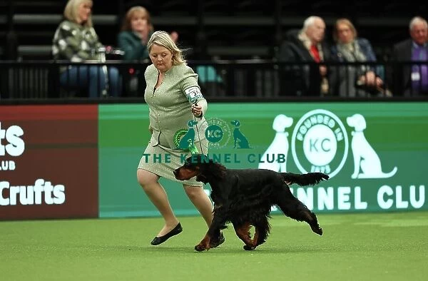 Sarah Loakes and Jean Collins-Pitman from Edmondbyers with Vegas a Gordon Setter which was the Best of Breed winner today (Thursday 09. 03. 23), the first day of Crufts 2023, at the NEC Birmingham