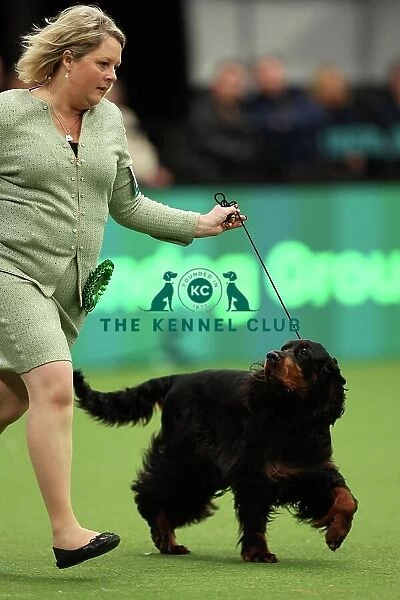 Sarah Loakes and Jean Collins-Pitman from Edmondbyers with Vegas a Gordon Setter which was the Best of Breed winner today (Thursday 09. 03. 23), the first day of Crufts 2023, at the NEC Birmingham