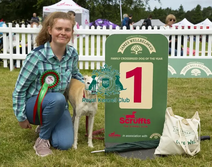Framed Print : Scruffts 2023 regional round DogFest Tatton Park, Manchester Framed Print : Scruffts 2023 regional round DogFest Tatton Park, Manchester
