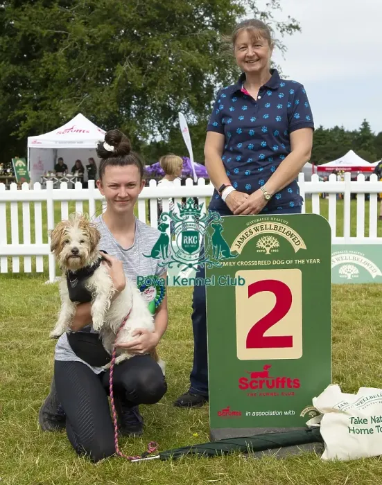 Framed Print : Scruffts 2023 regional round DogFest Tatton Park, Manchester Framed Print : Scruffts 2023 regional round DogFest Tatton Park, Manchester