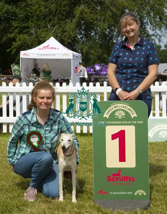 Framed Print : Scruffts 2023 regional round DogFest Tatton Park, Manchester Framed Print : Scruffts 2023 regional round DogFest Tatton Park, Manchester