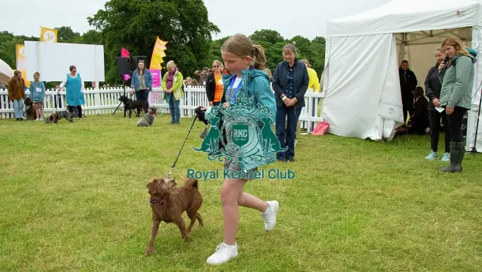 Framed Print : Scruffts 2023 regional round DogFest Tatton Park, Manchester Framed Print : Scruffts 2023 regional round DogFest Tatton Park, Manchester