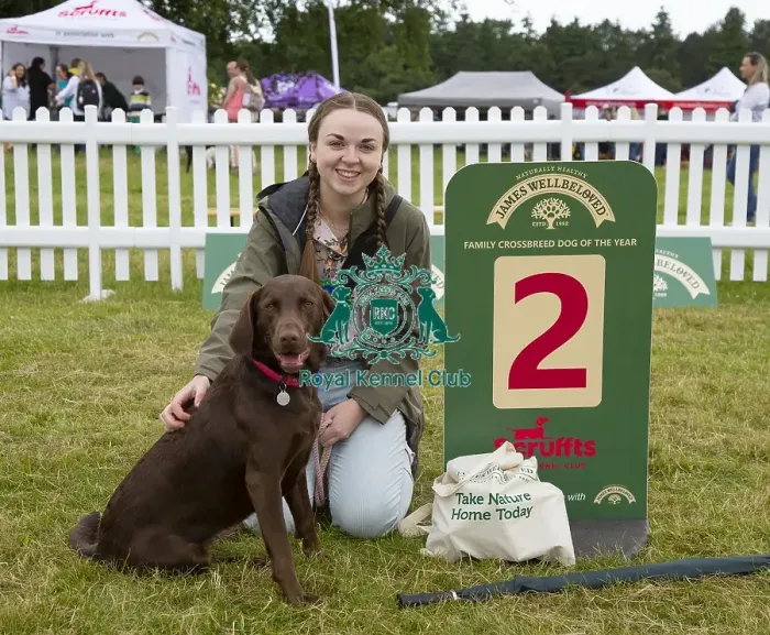 Framed Print : Scruffts 2023 regional round DogFest Tatton Park, Manchester Framed Print : Scruffts 2023 regional round DogFest Tatton Park, Manchester