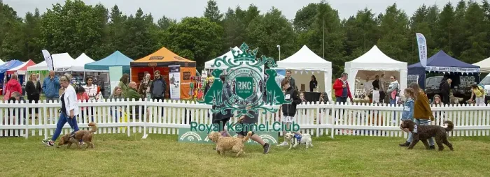 Framed Print : Scruffts 2023 regional round DogFest Tatton Park, Manchester Framed Print : Scruffts 2023 regional round DogFest Tatton Park, Manchester