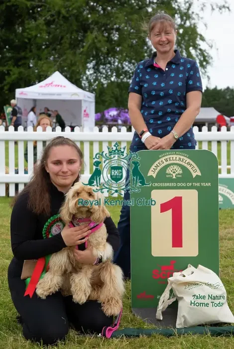 Framed Print : Scruffts 2023 regional round DogFest Tatton Park, Manchester Framed Print : Scruffts 2023 regional round DogFest Tatton Park, Manchester