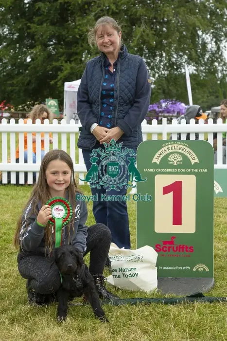 Framed Print : Scruffts 2023 regional round DogFest Tatton Park, Manchester Framed Print : Scruffts 2023 regional round DogFest Tatton Park, Manchester