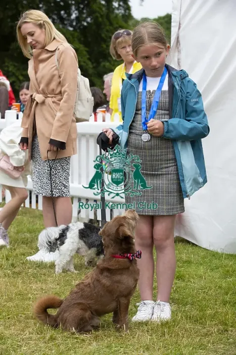 Framed Print : Scruffts 2023 regional round DogFest Tatton Park, Manchester Framed Print : Scruffts 2023 regional round DogFest Tatton Park, Manchester