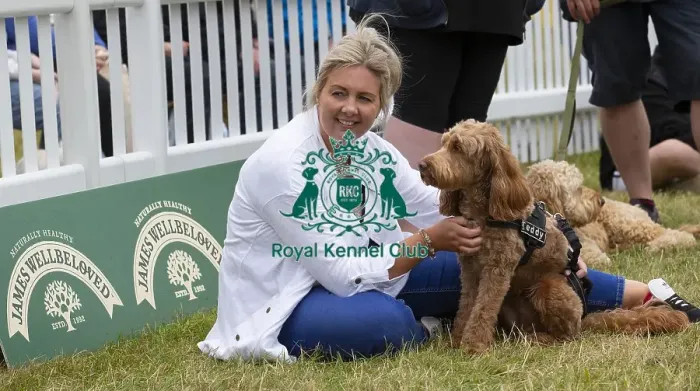 Framed Print : Scruffts 2023 regional round DogFest Tatton Park, Manchester Framed Print : Scruffts 2023 regional round DogFest Tatton Park, Manchester