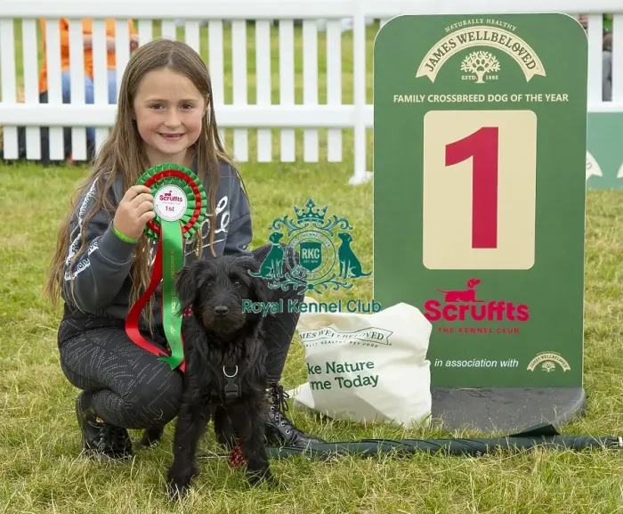 Framed Print : Scruffts 2023 regional round DogFest Tatton Park, Manchester Framed Print : Scruffts 2023 regional round DogFest Tatton Park, Manchester