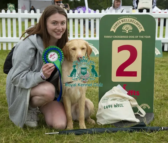 Framed Print : Scruffts 2023 regional round DogFest Tatton Park, Manchester Framed Print : Scruffts 2023 regional round DogFest Tatton Park, Manchester
