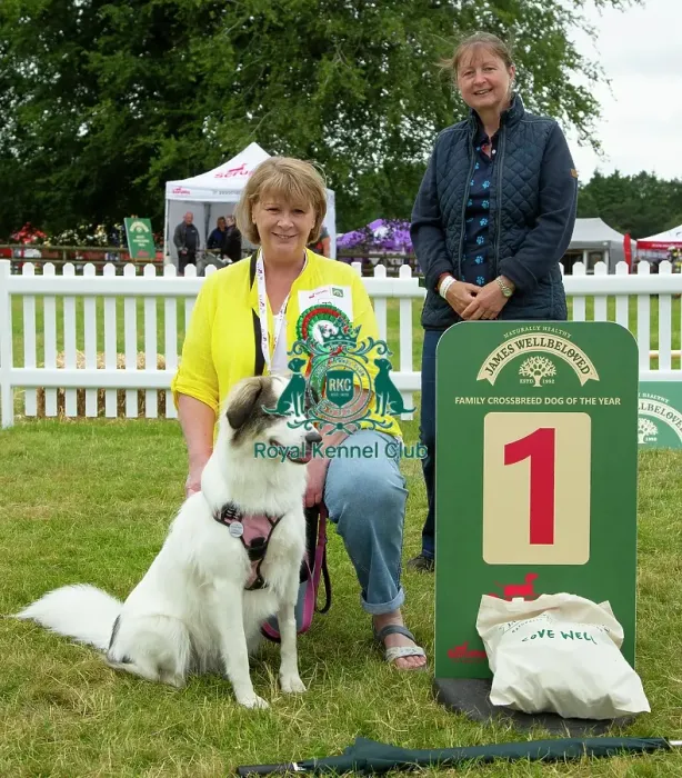 Framed Print : Scruffts 2023 regional round DogFest Tatton Park, Manchester Framed Print : Scruffts 2023 regional round DogFest Tatton Park, Manchester