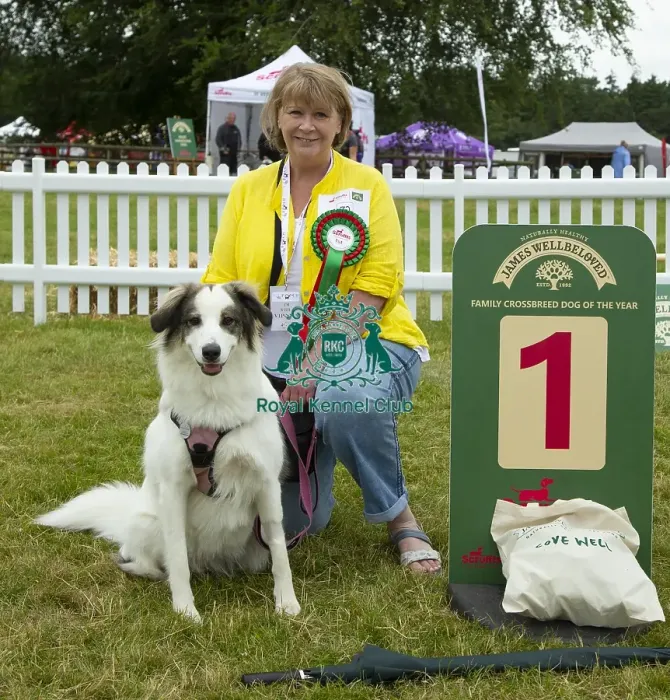 Framed Print : Scruffts 2023 regional round DogFest Tatton Park, Manchester Framed Print : Scruffts 2023 regional round DogFest Tatton Park, Manchester
