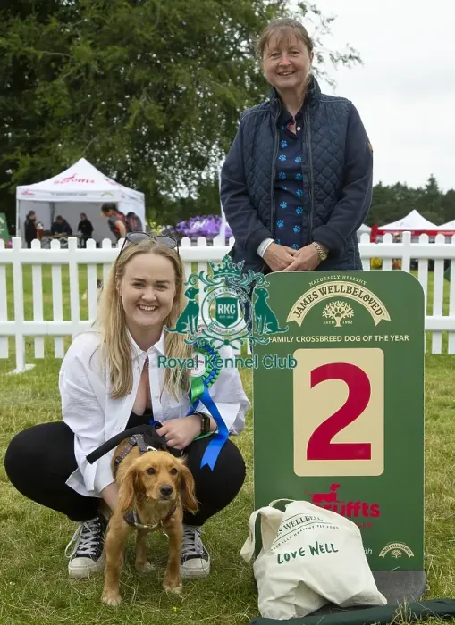 Framed Print : Scruffts 2023 regional round DogFest Tatton Park, Manchester Framed Print : Scruffts 2023 regional round DogFest Tatton Park, Manchester