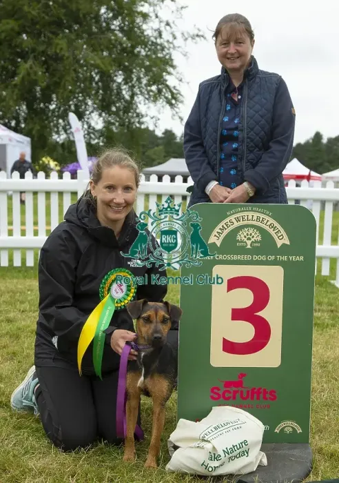 Framed Print : Scruffts 2023 regional round DogFest Tatton Park, Manchester